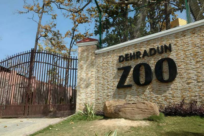 Dehradun Zoo