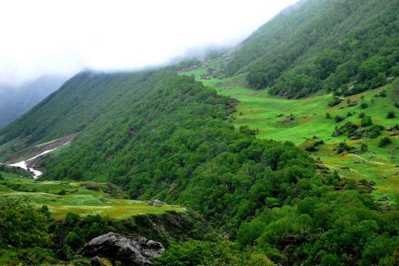 nanda devi national park